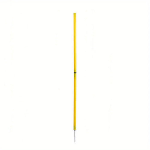 Dribbling Around Pole